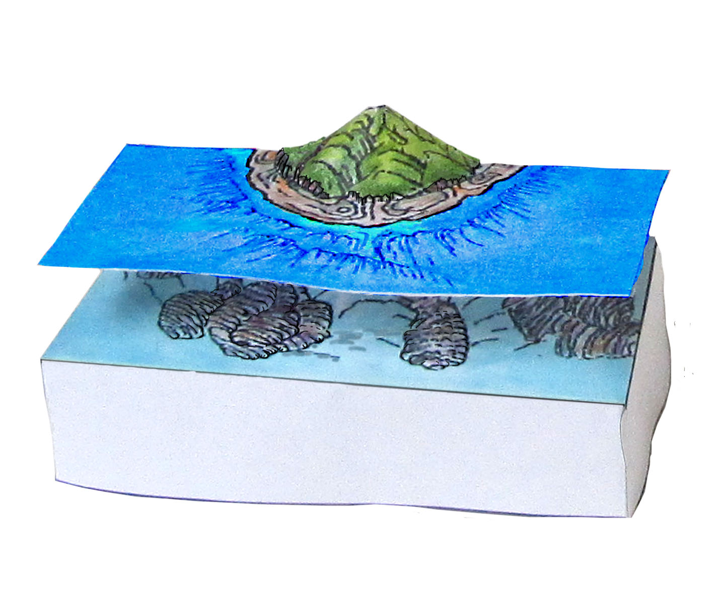picture of volcano with coral model